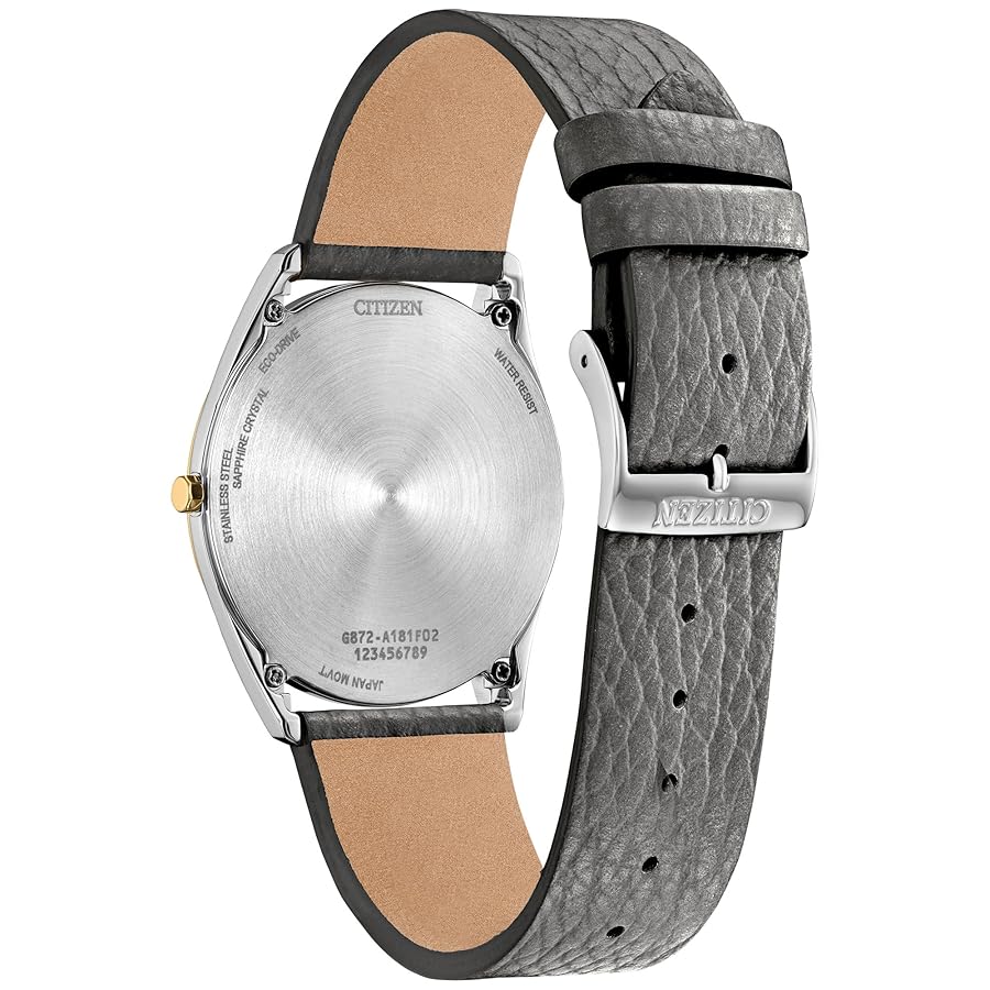 シチズン　エコドライブ　42mm NATOストラップ2本付き シチズン エコ・ドライブ 用 CITIZEN Eco Drive にぴったりの